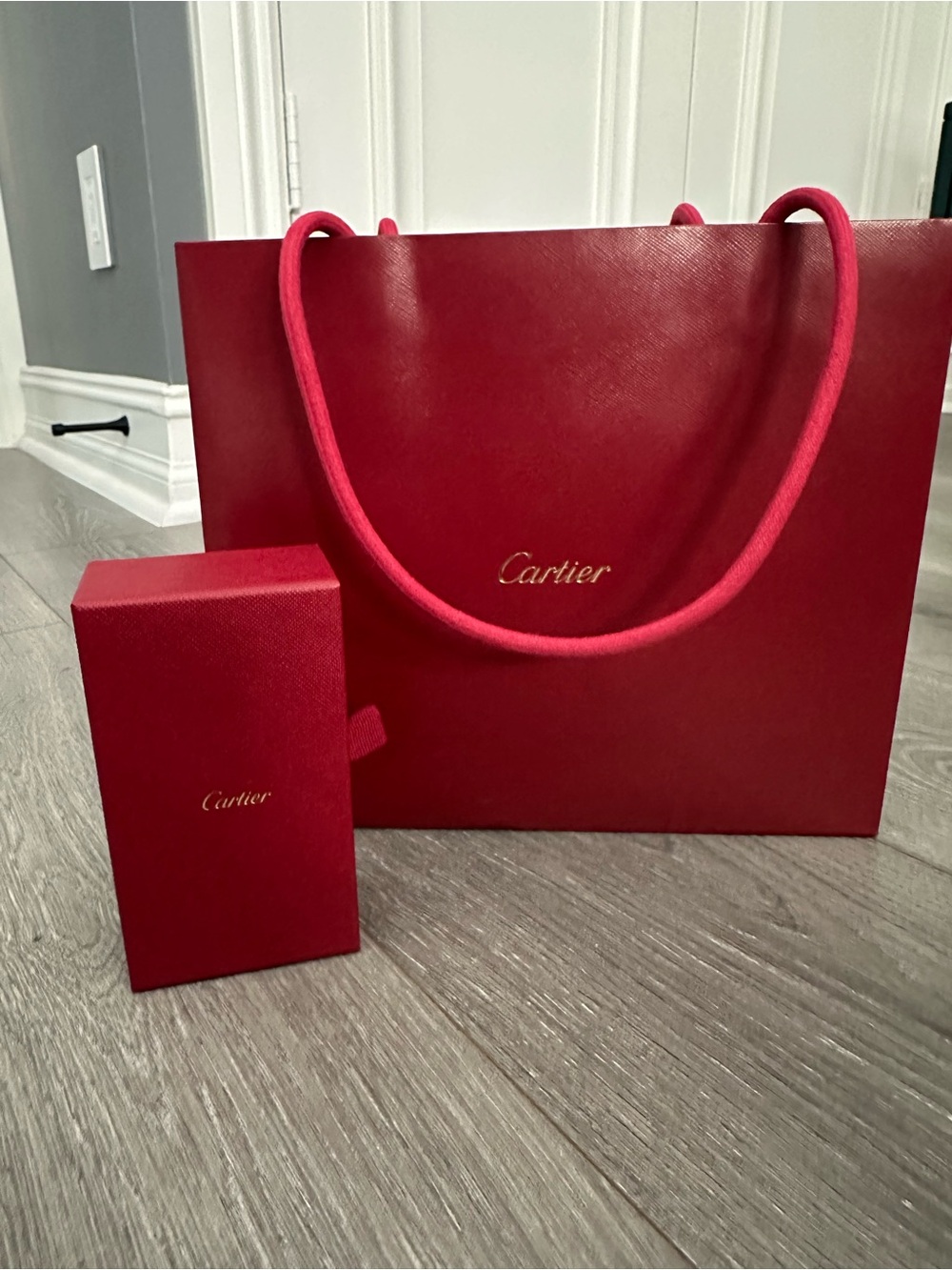 Cartier Red Gift Bag and Unused Jewelry Cleaner